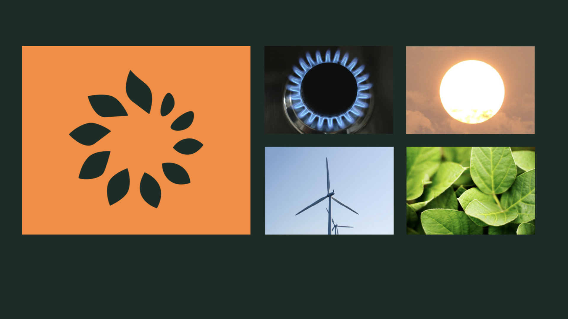 可再生能源vi設(shè)計 .jpeg