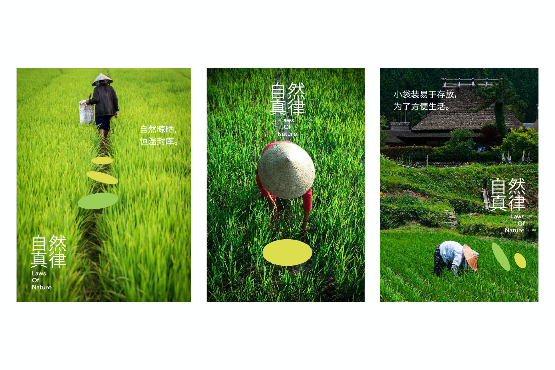 VI設(shè)計(jì)在農(nóng)產(chǎn)品品牌中的角色-傳遞自然與健康的視覺(jué)語(yǔ)言